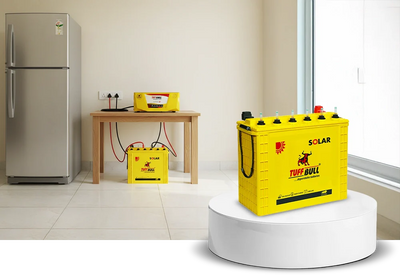 Inverter Battery